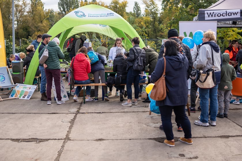 ekopiknik Ekosystemu, na zdjęciach uczestnicy, rodziny z dziećmi oraz organizatorzy, stoiska, atrakcje, zabawy