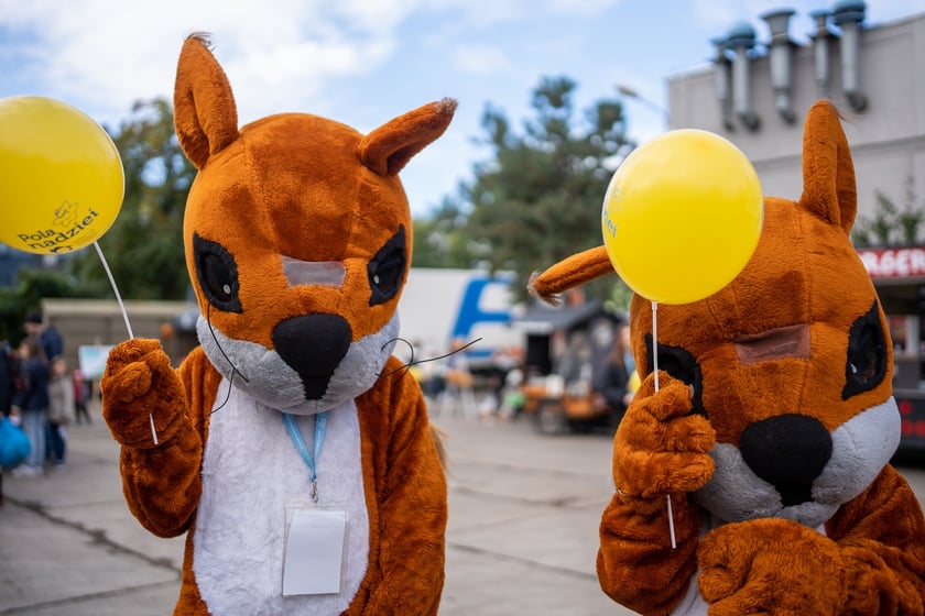 ekopiknik Ekosystemu, na zdjęciach uczestnicy, rodziny z dziećmi oraz organizatorzy, stoiska, atrakcje, zabawy
