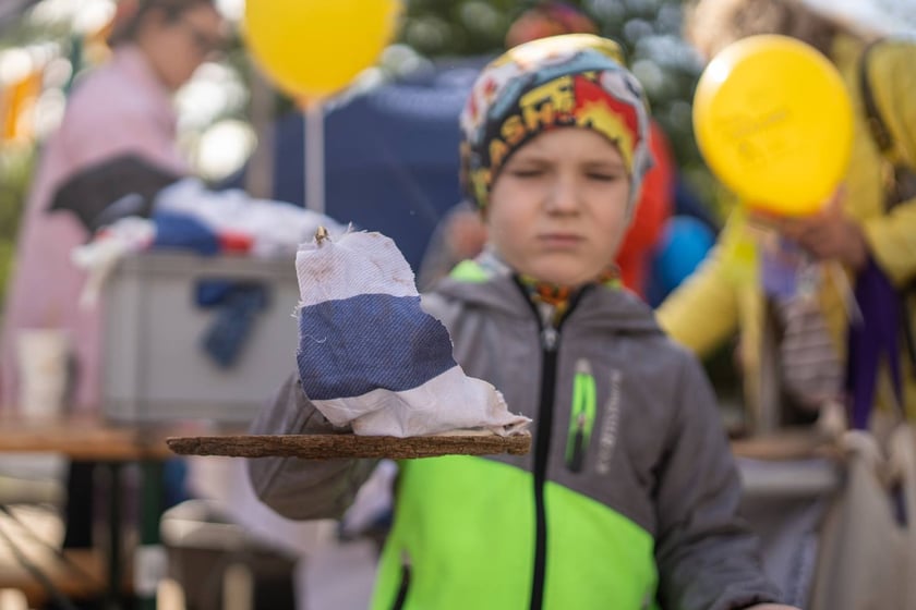 ekopiknik Ekosystemu, na zdjęciach uczestnicy, rodziny z dziećmi oraz organizatorzy, stoiska, atrakcje, zabawy
