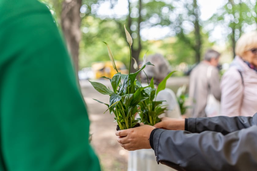 Zielony piknik w Parku Zachodnim, czyli Sobota z Zielonym Wrocławiem cieszył się dużą popularnością. Do parku Zachodniego przyszły tysiące osób