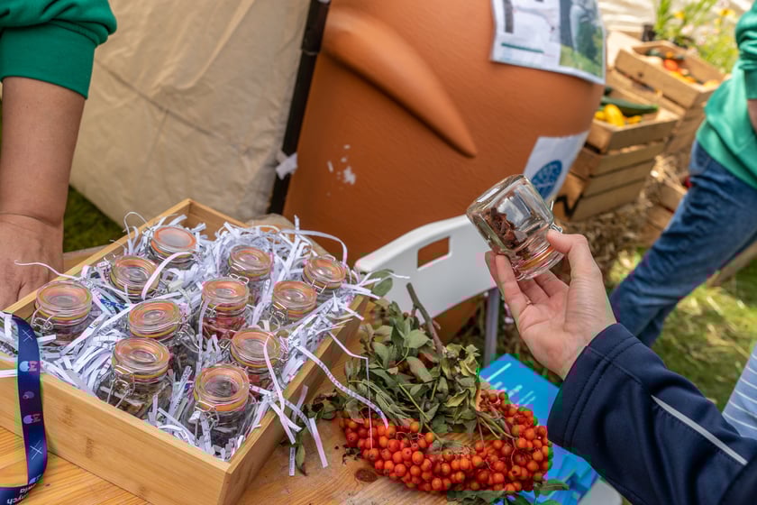 Zielony piknik w Parku Zachodnim, czyli Sobota z Zielonym Wrocławiem cieszył się dużą popularnością. Do parku Zachodniego przyszły tysiące osób