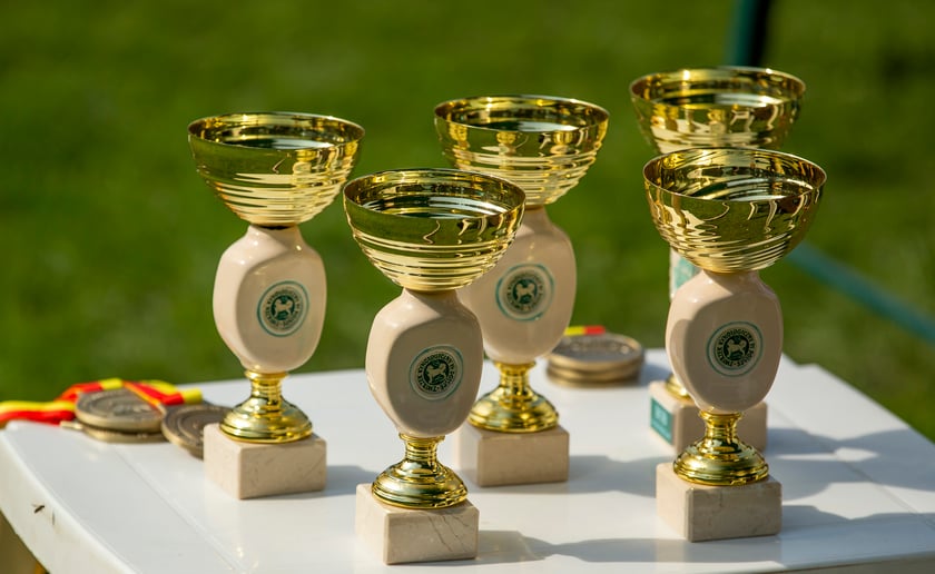 Psy, które można zobaczyć przez weekend we Wrocławiu, są zjawiskowo piękne. Na zdjęciu psy, które przyjechały na wystawę na Stadionie Olimpijskim