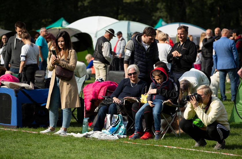 Psy, które można zobaczyć przez weekend we Wrocławiu, są zjawiskowo piękne. Na zdjęciu psy, które przyjechały na wystawę na Stadionie Olimpijskim