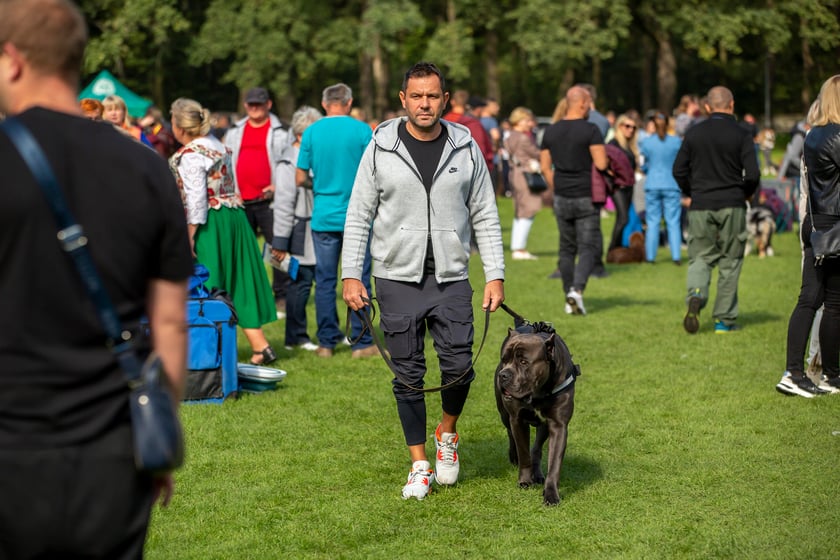 Psy, które można zobaczyć przez weekend we Wrocławiu, są zjawiskowo piękne. Na zdjęciu psy, które przyjechały na wystawę na Stadionie Olimpijskim