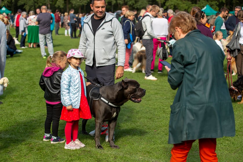 Psy, które można zobaczyć przez weekend we Wrocławiu, są zjawiskowo piękne. Na zdjęciu psy, które przyjechały na wystawę na Stadionie Olimpijskim