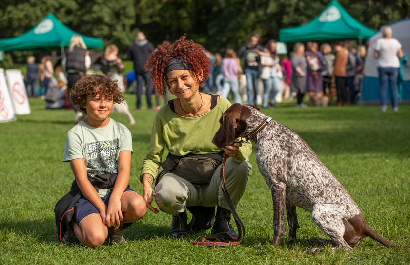 Psy, które można zobaczyć przez weekend we Wrocławiu, są zjawiskowo piękne. Na zdjęciu psy, które przyjechały na wystawę na Stadionie Olimpijskim