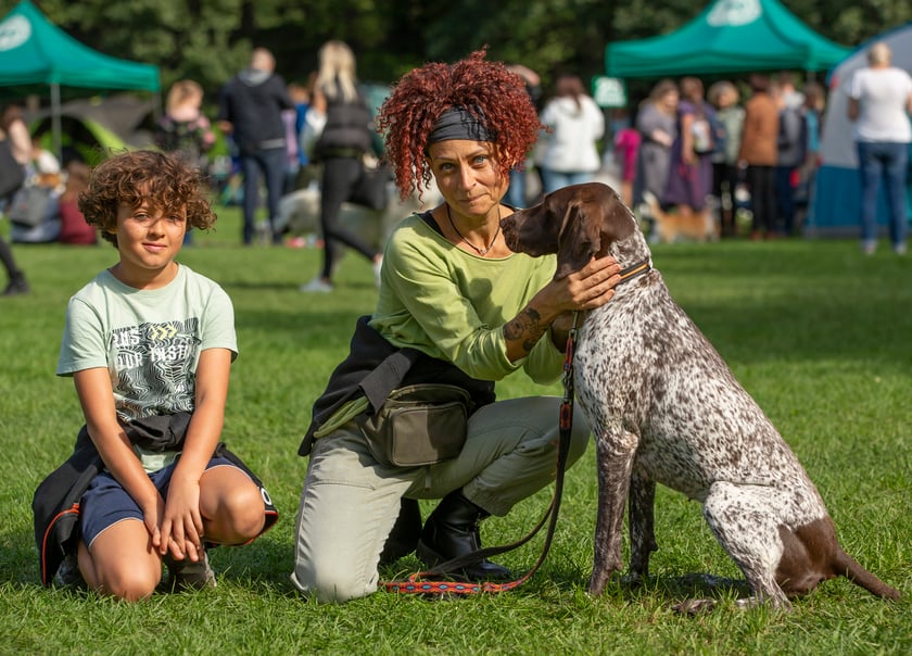 Psy, które można zobaczyć przez weekend we Wrocławiu, są zjawiskowo piękne. Na zdjęciu psy, które przyjechały na wystawę na Stadionie Olimpijskim