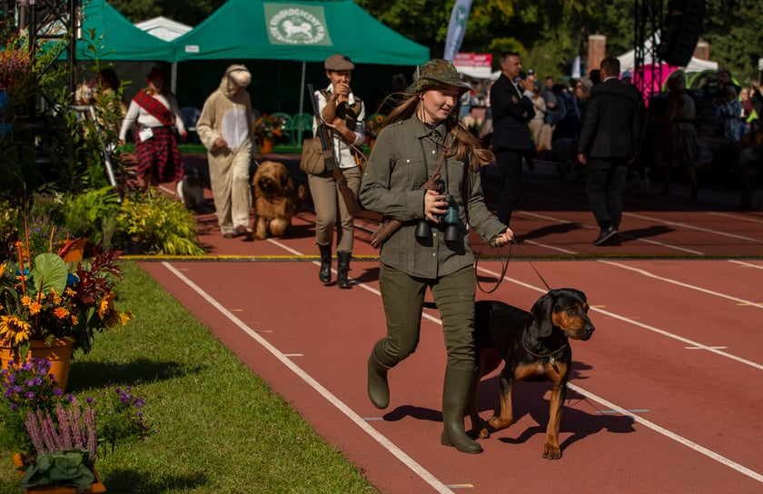 Psy, które można zobaczyć przez weekend we Wrocławiu, są zjawiskowo piękne. Na zdjęciu psy, które przyjechały na wystawę na Stadionie Olimpijskim