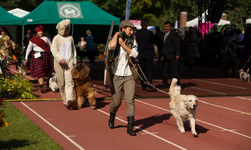Psy, które można zobaczyć przez weekend we Wrocławiu, są zjawiskowo piękne. Na zdjęciu psy, które przyjechały na wystawę na Stadionie Olimpijskim