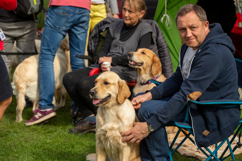 Psy, które można zobaczyć przez weekend we Wrocławiu, są zjawiskowo piękne. Na zdjęciu psy, które przyjechały na wystawę na Stadionie Olimpijskim