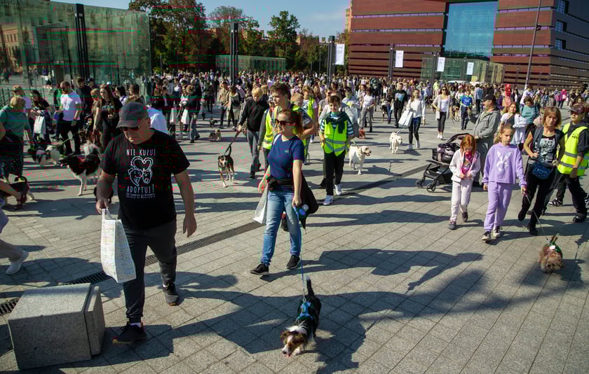 Parada psów przeszła dzisiaj (25 września) ulicami Wrocławia