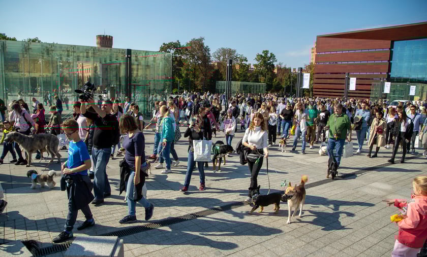 Parada psów przeszła dzisiaj (25 września) ulicami Wrocławia