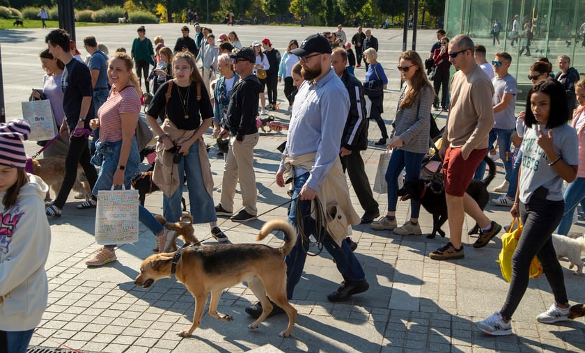 Parada psów przeszła dzisiaj (25 września) ulicami Wrocławia