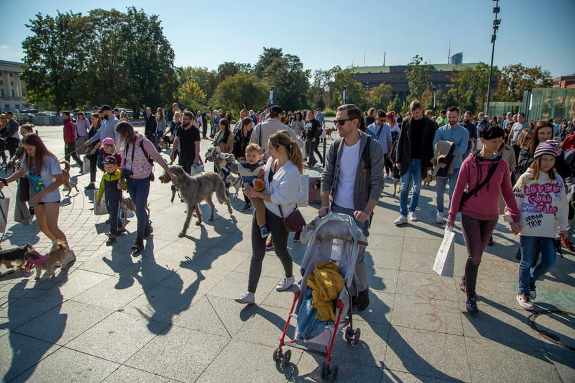 Parada psów przeszła dzisiaj (25 września) ulicami Wrocławia
