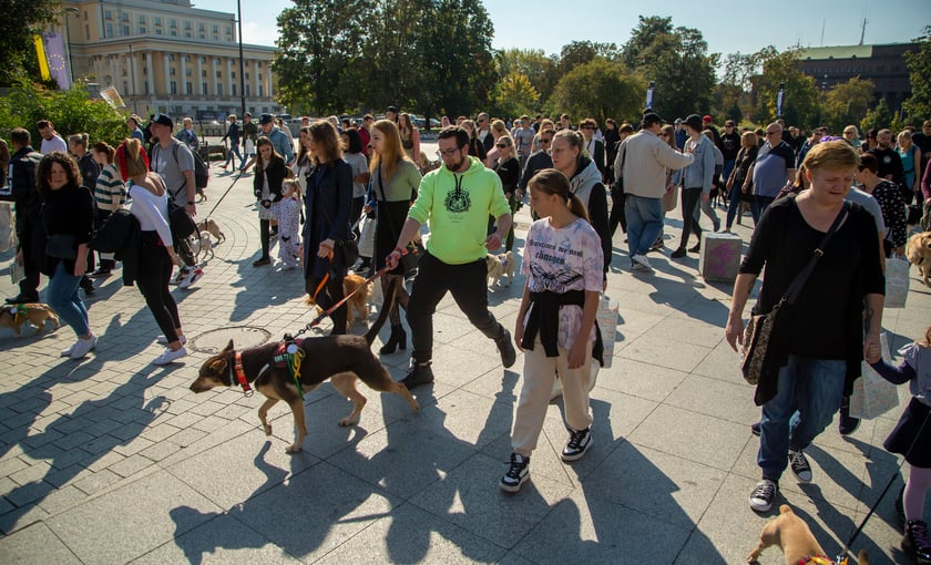 Parada psów przeszła dzisiaj (25 września) ulicami Wrocławia