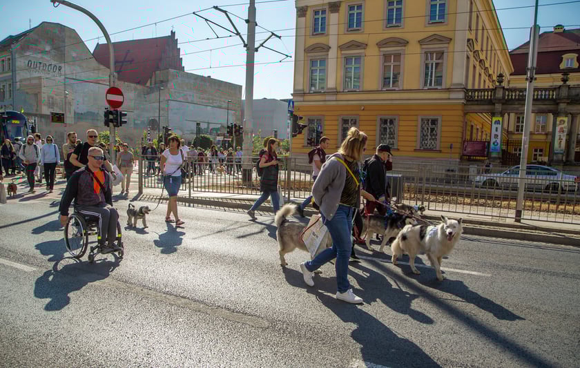 Parada psów przeszła dzisiaj (25 września) ulicami Wrocławia