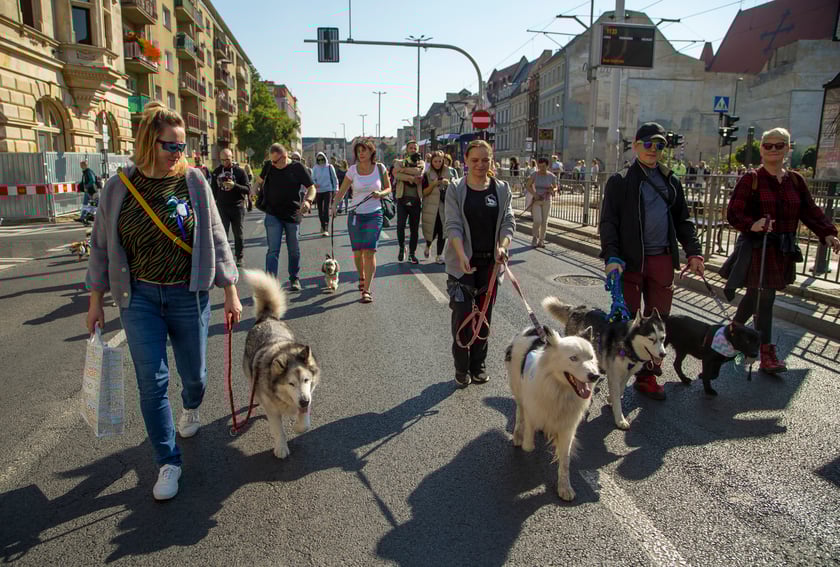 Parada psów przeszła dzisiaj (25 września) ulicami Wrocławia