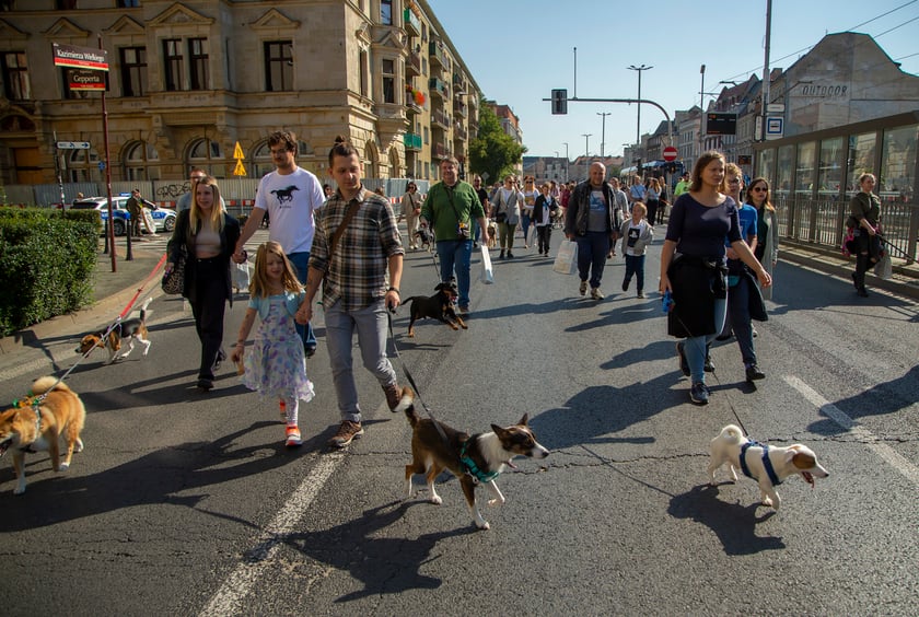 Parada psów przeszła dzisiaj (25 września) ulicami Wrocławia