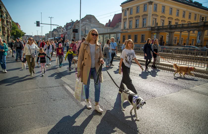 Parada psów przeszła dzisiaj (25 września) ulicami Wrocławia