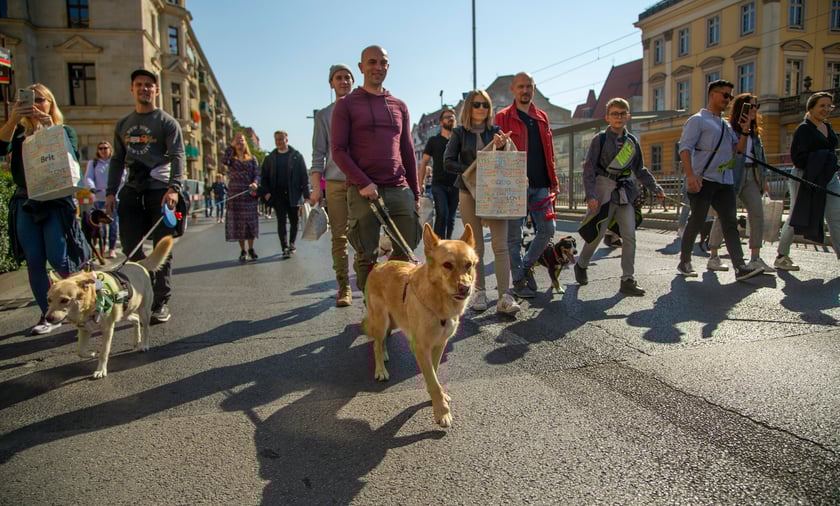 Parada psów przeszła dzisiaj (25 września) ulicami Wrocławia