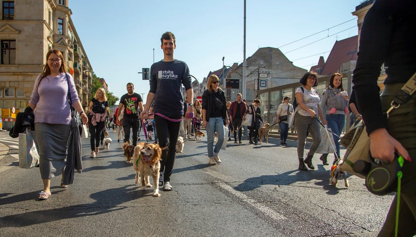 Parada psów przeszła dzisiaj (25 września) ulicami Wrocławia