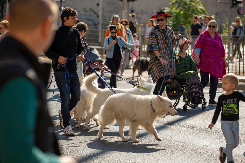 Parada psów przeszła dzisiaj (25 września) ulicami Wrocławia