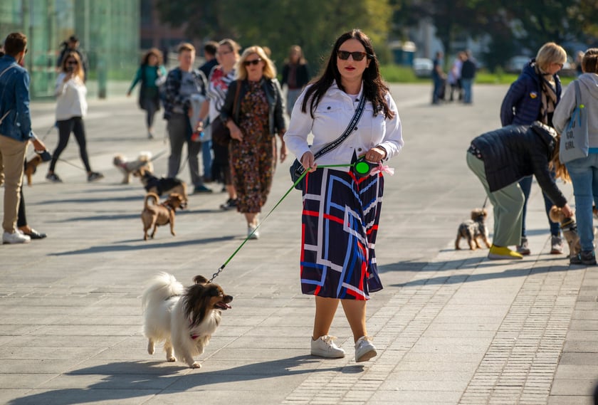 Parada psów przeszła dzisiaj (25 września) ulicami Wrocławia
