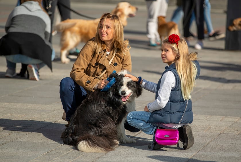 Parada psów przeszła dzisiaj (25 września) ulicami Wrocławia