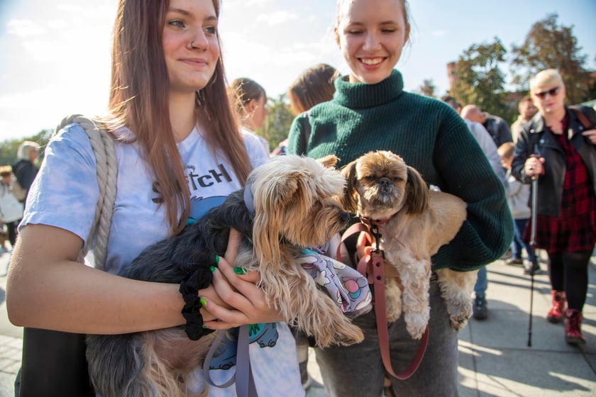 Parada psów przeszła dzisiaj (25 września) ulicami Wrocławia