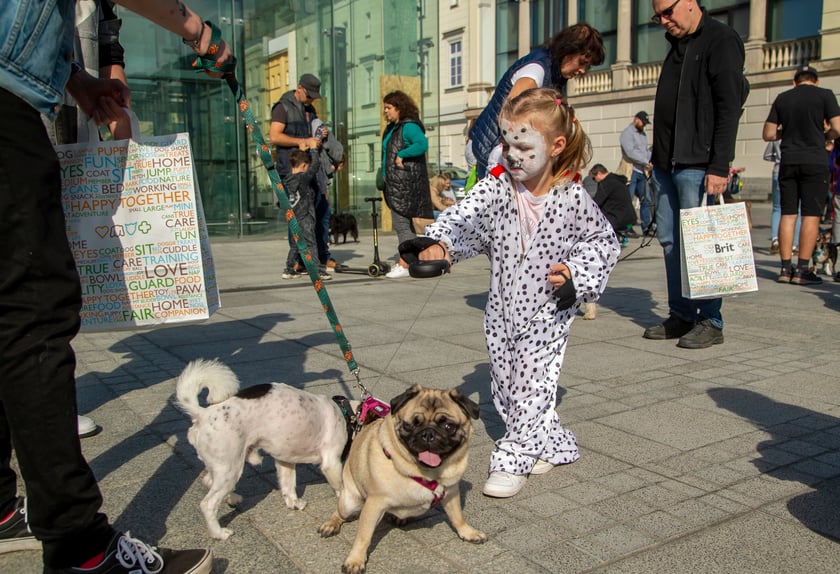 Parada psów przeszła dzisiaj (25 września) ulicami Wrocławia