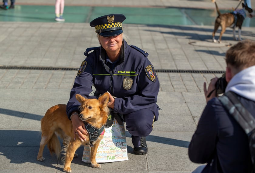 Parada psów przeszła dzisiaj (25 września) ulicami Wrocławia