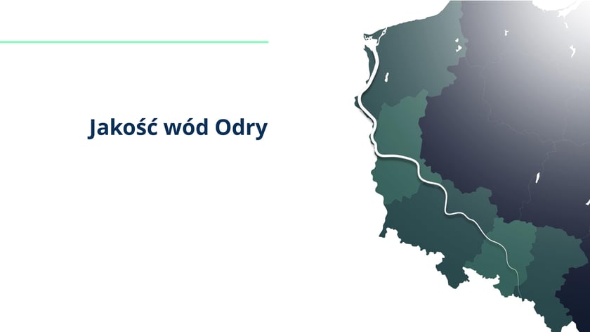 raport w sprawie katastrofy ekologicznej na Odrze