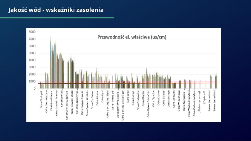 raport w sprawie katastrofy ekologicznej na Odrze