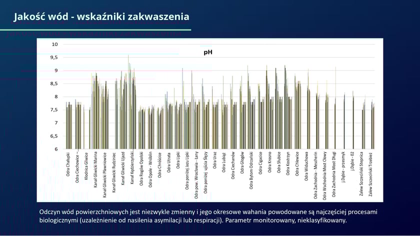 raport w sprawie katastrofy ekologicznej na Odrze