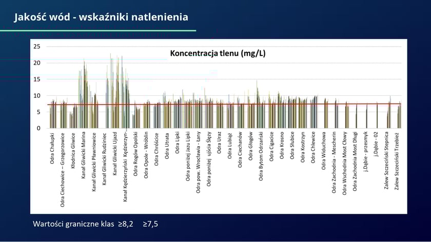 raport w sprawie katastrofy ekologicznej na Odrze