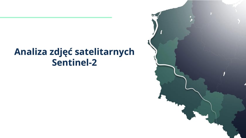 raport w sprawie katastrofy ekologicznej na Odrze
