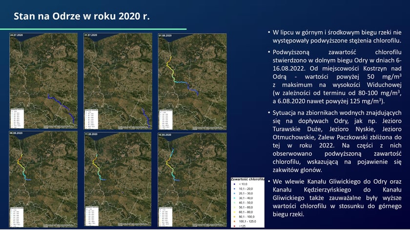 raport w sprawie katastrofy ekologicznej na Odrze