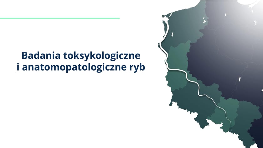 raport w sprawie katastrofy ekologicznej na Odrze