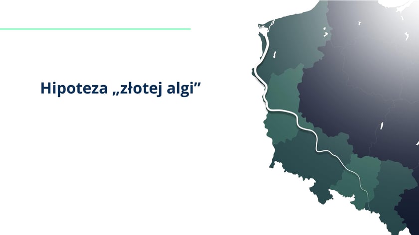 raport w sprawie katastrofy ekologicznej na Odrze