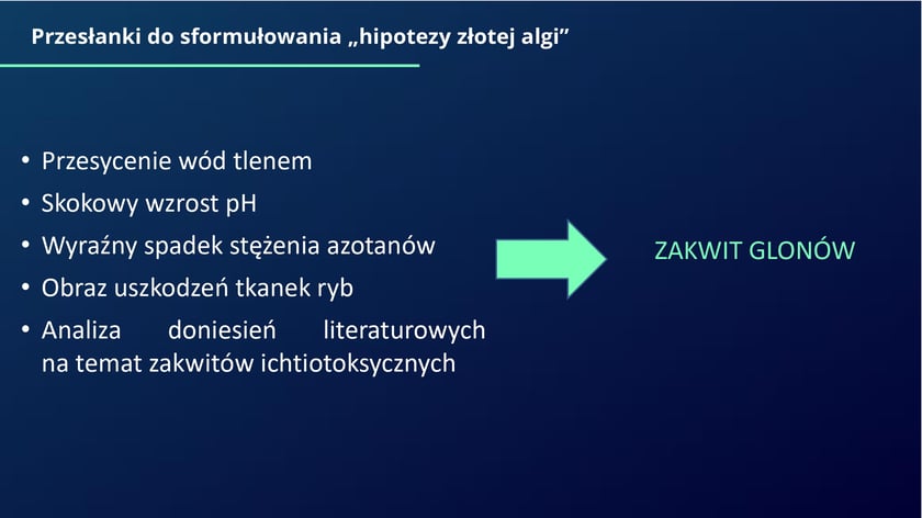 raport w sprawie katastrofy ekologicznej na Odrze