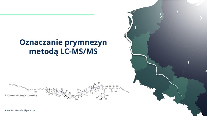 raport w sprawie katastrofy ekologicznej na Odrze