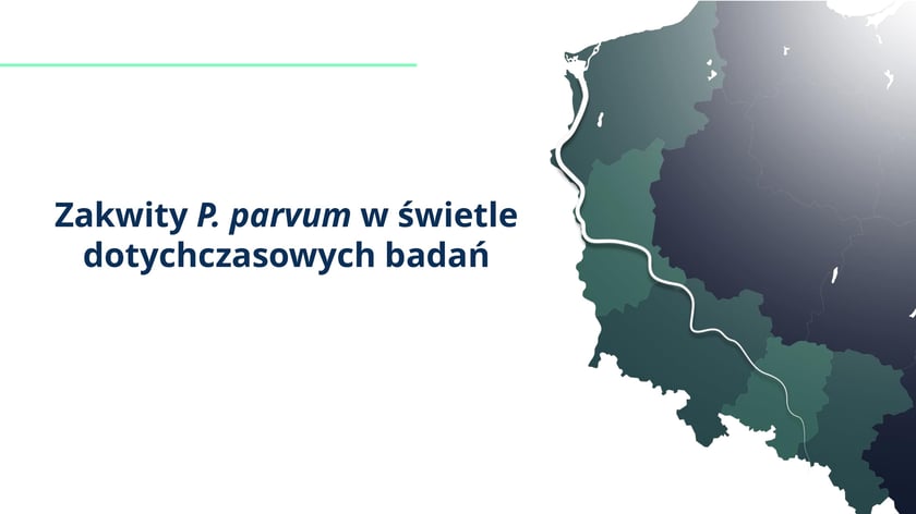 raport w sprawie katastrofy ekologicznej na Odrze