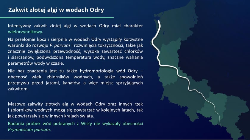 raport w sprawie katastrofy ekologicznej na Odrze