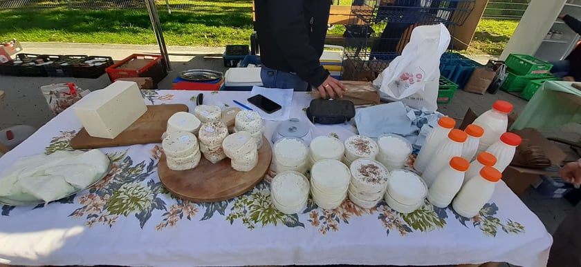 Na zdjęciu fragment pikniku ?Jadalne Miasto?