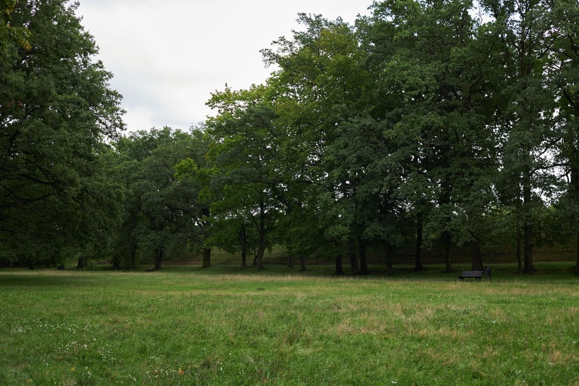 najczęściej park Biskupiński, inaczej zwany Nadodrzańskim