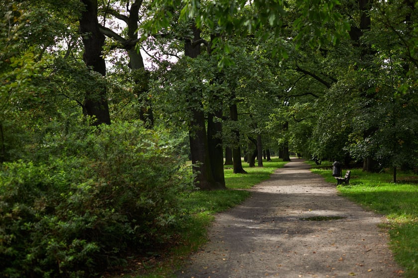 najczęściej park Biskupiński, inaczej zwany Nadodrzańskim