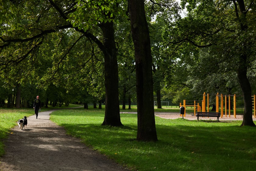 najczęściej park Biskupiński, inaczej zwany Nadodrzańskim