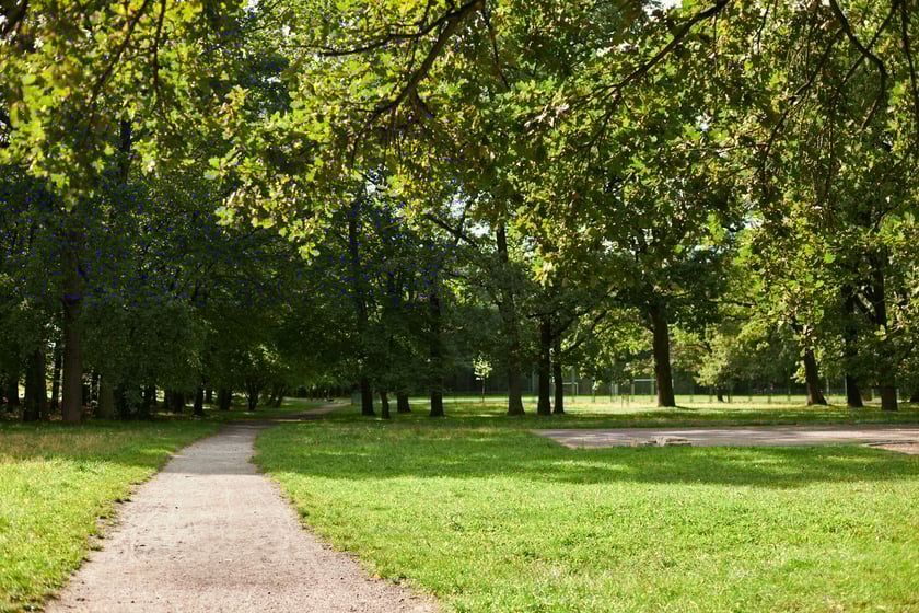 najczęściej park Biskupiński, inaczej zwany Nadodrzańskim