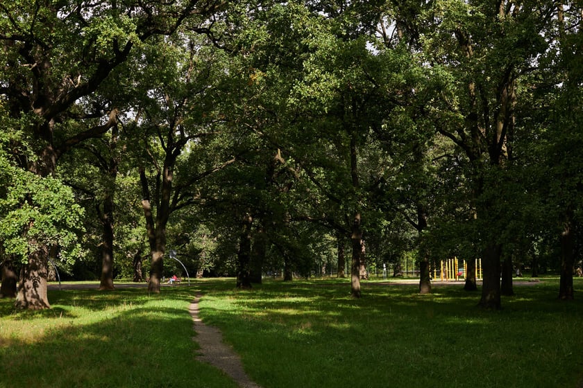 najczęściej park Biskupiński, inaczej zwany Nadodrzańskim