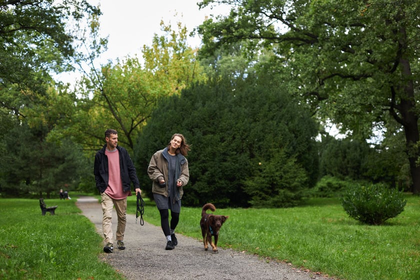 najczęściej park Biskupiński, inaczej zwany Nadodrzańskim